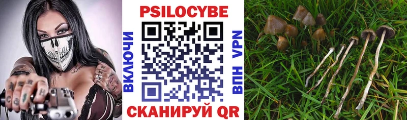 Псилоцибиновые грибы GOLDEN TEACHER  Зеленогорск 