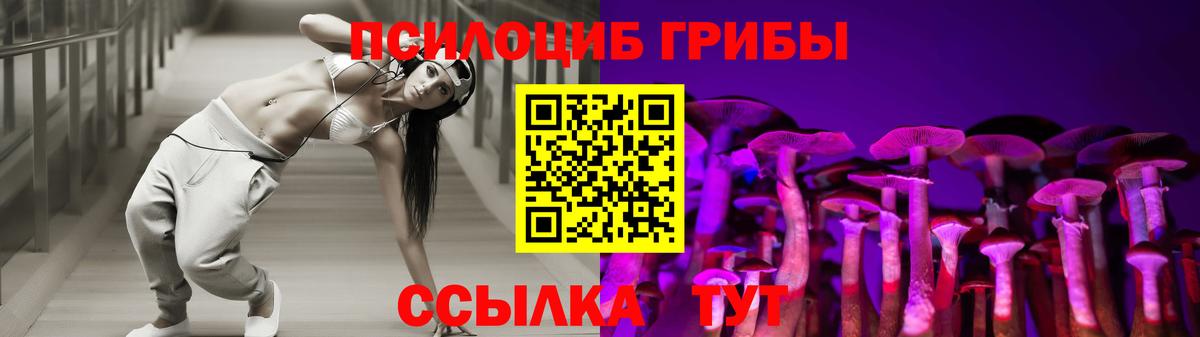 Зеленогорск  Псилоцибиновые грибы MAGIC MUSHROOMS  Вход с VPN 